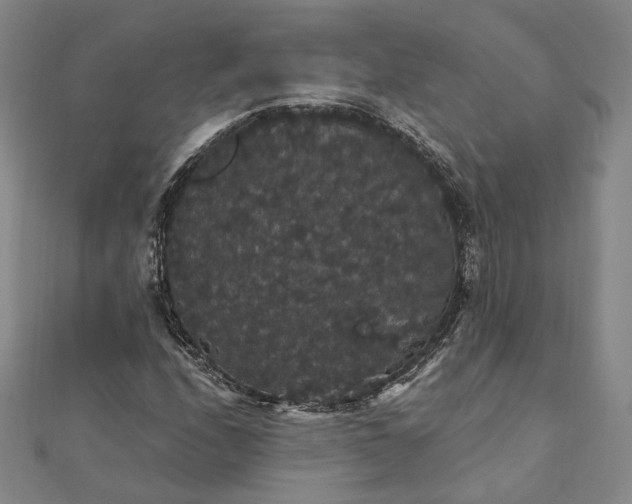 X0000111911208200908031131