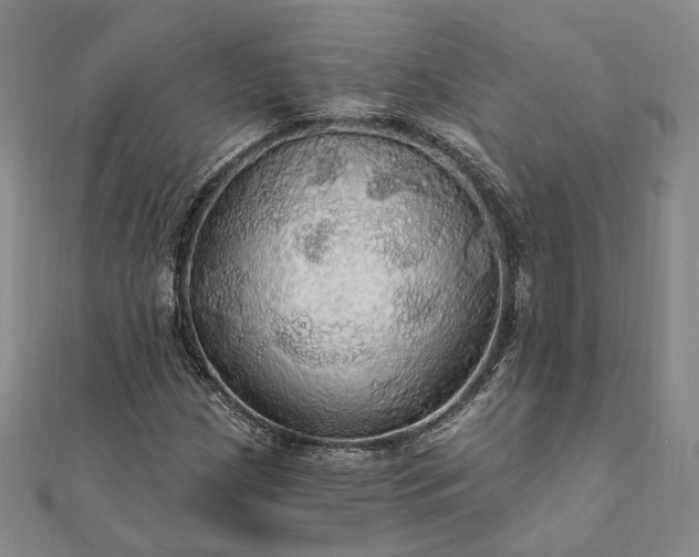 X0000111911209200908031131