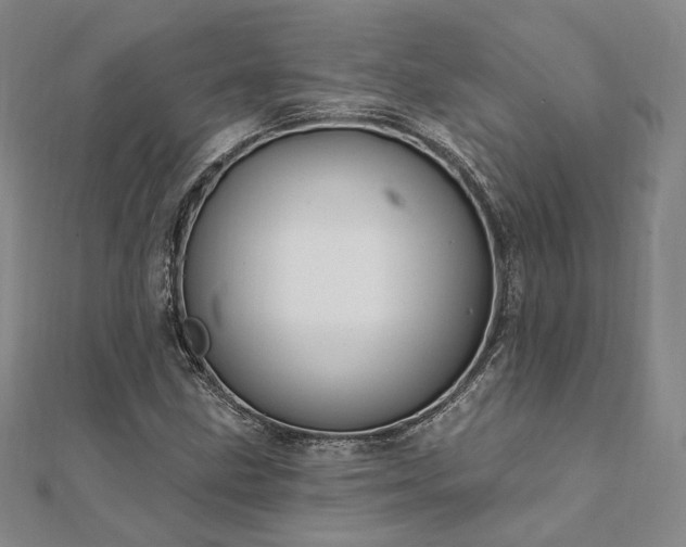 X0000111911211200908031131