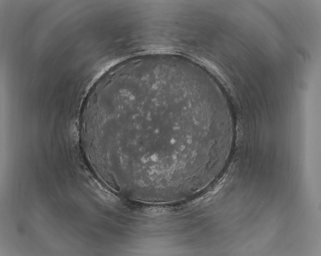 X0000111911212200908031131