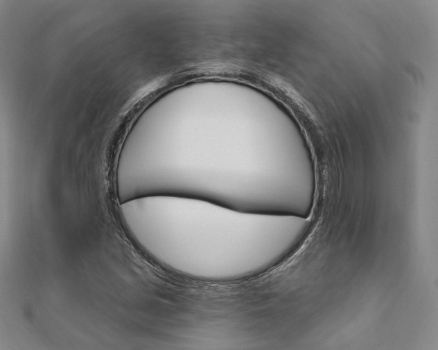 X0000111911213200908031131
