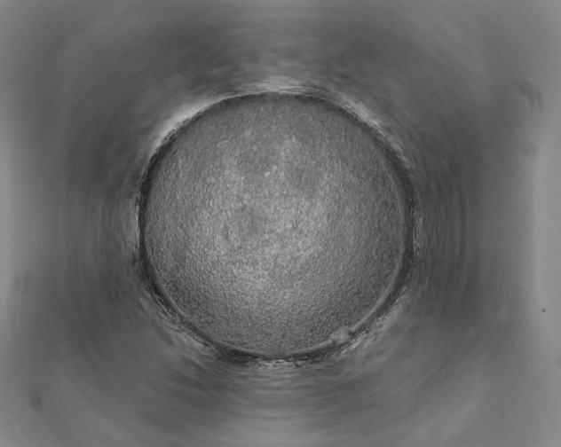 X0000111911214200908031131