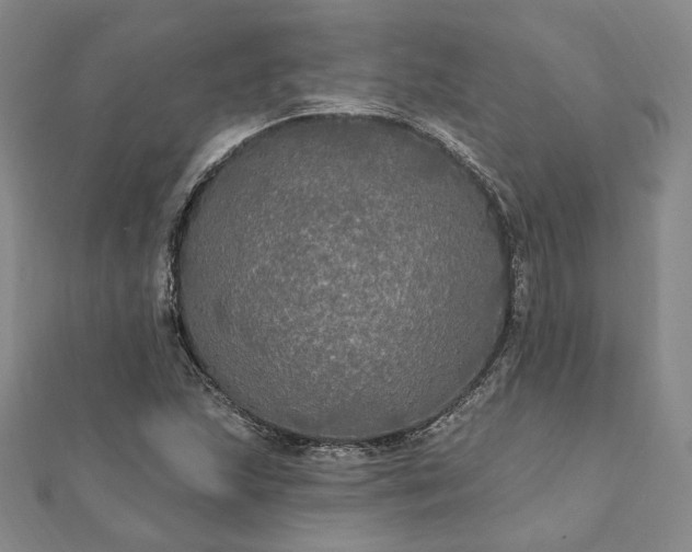 X0000111911215200908031131