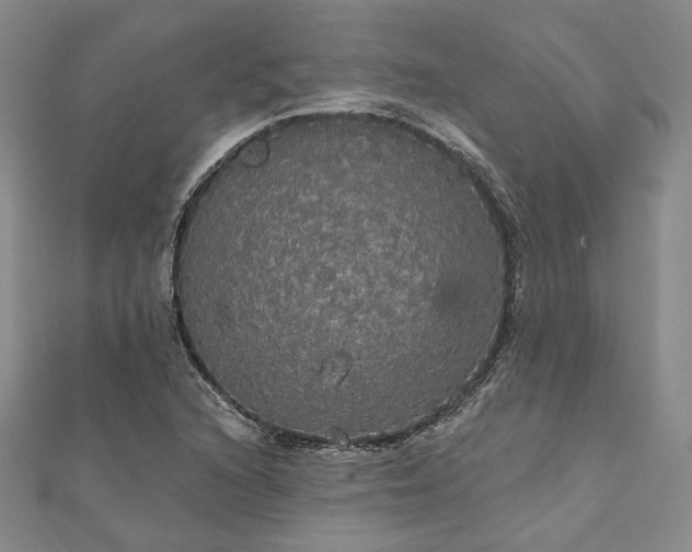 X0000111911216200908031131