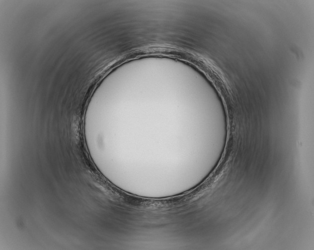 X0000111911217200908031131
