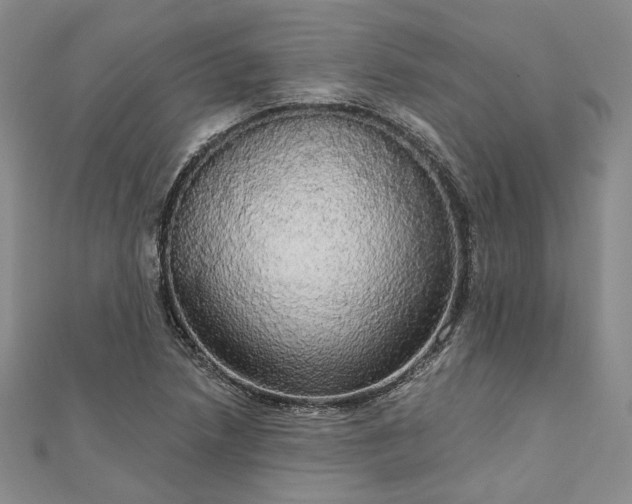 X0000111911218200908031131