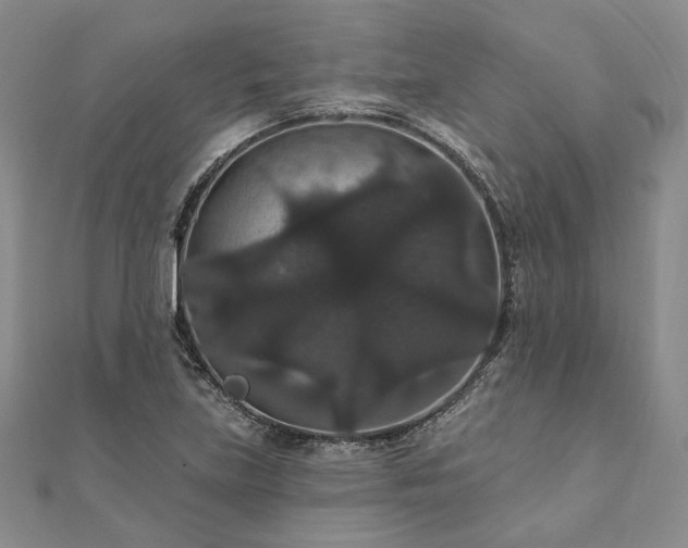 X0000111911219200908031131