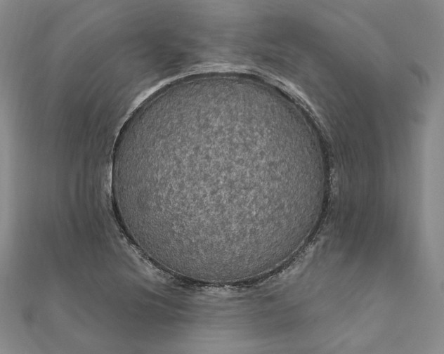 X0000111911220200908031131