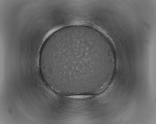X0000111911222200908031131
