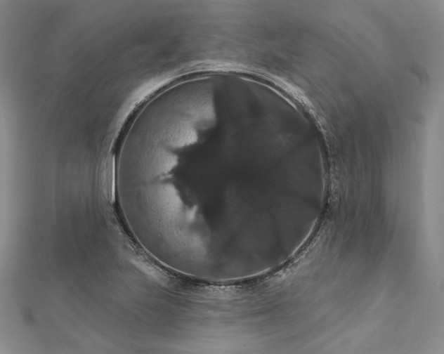 X0000111911223200908031131