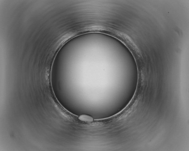 X0000111911225200908031131