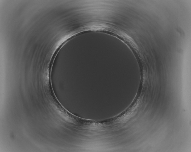 X0000111911226200908031131