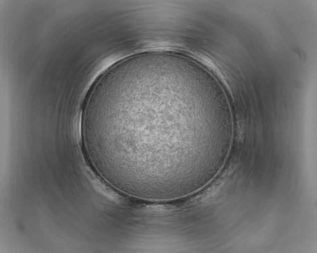 X0000111911227200908031131