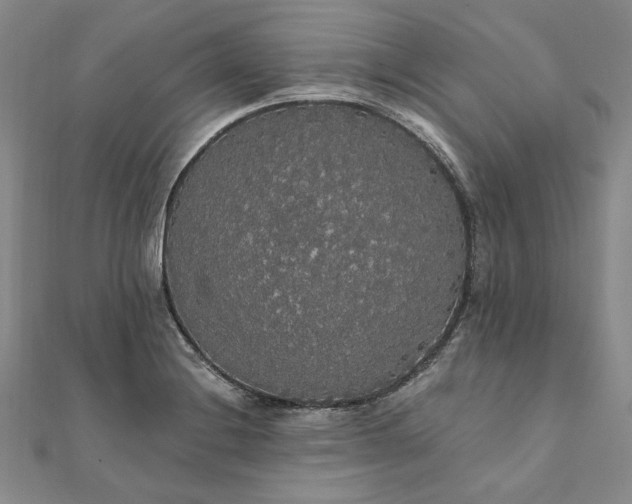 X0000111911228200908031131