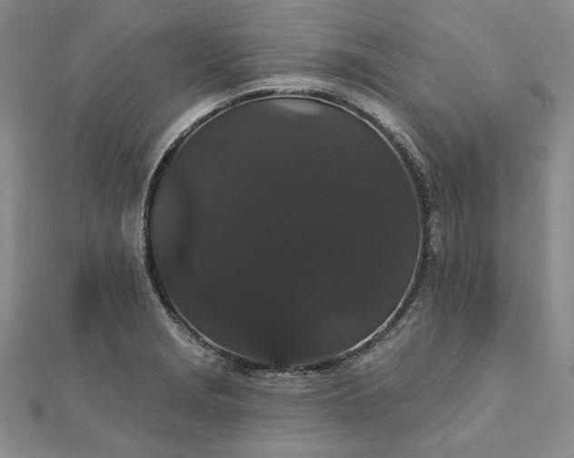 X0000111911229200908031131