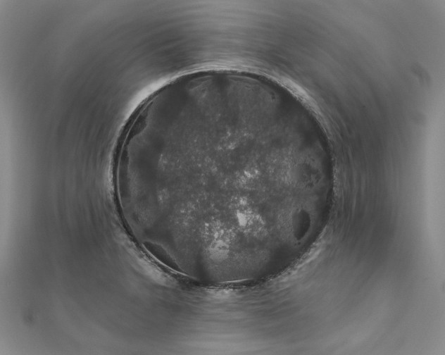 X0000111911230200908031131