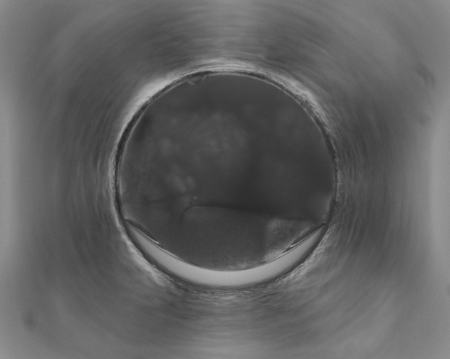 X0000111911231200908031131