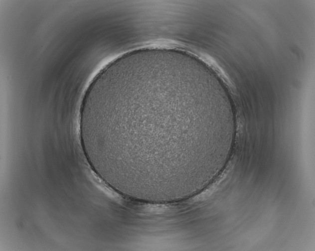 X0000111911232200908031131