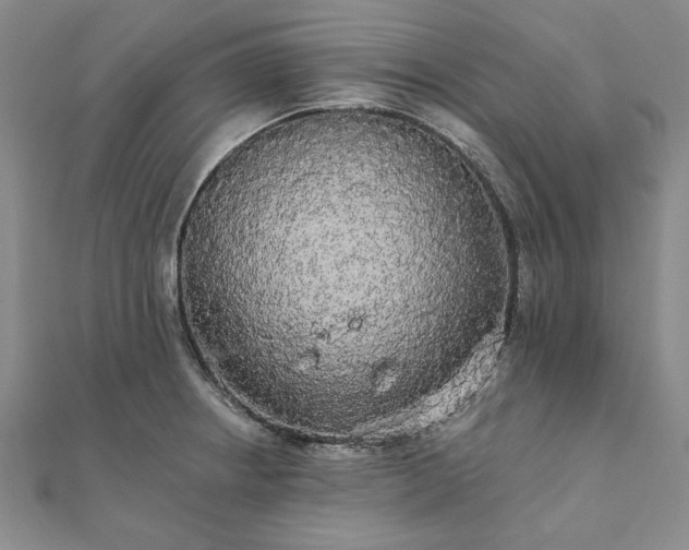 X0000111911234200908031131