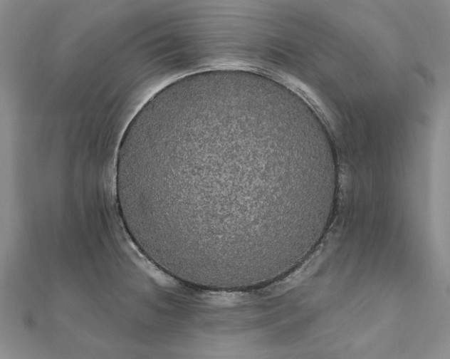 X0000111911236200908031131