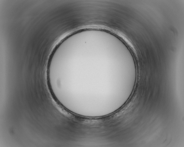 X0000111911237200908031131