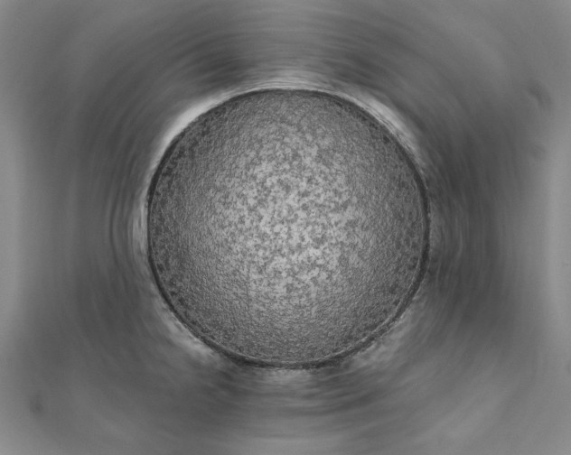 X0000111911238200908031131
