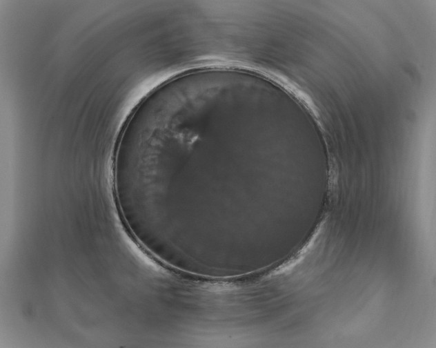 X0000111911239200908031131