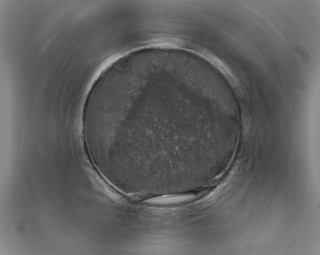X0000111911240200908031131