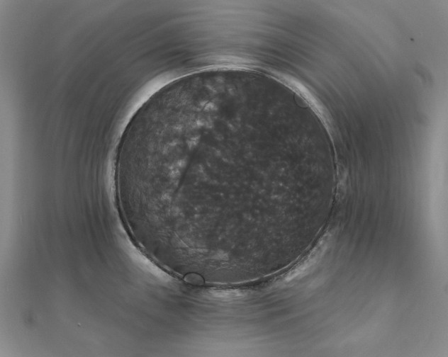 X0000111911243200908031131
