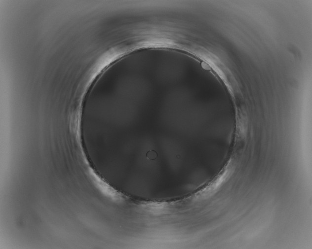 X0000111911245200908031131