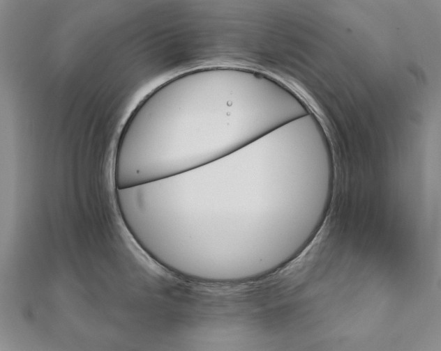 X0000111911246200908031131