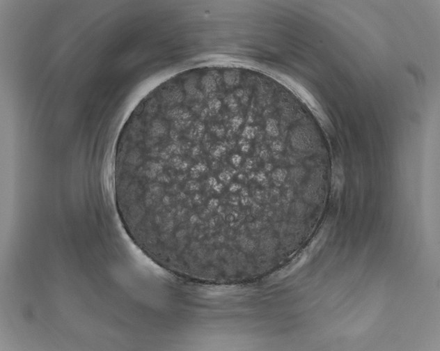 X0000111911247200908031131