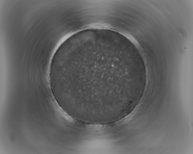 X0000111911248200908031131