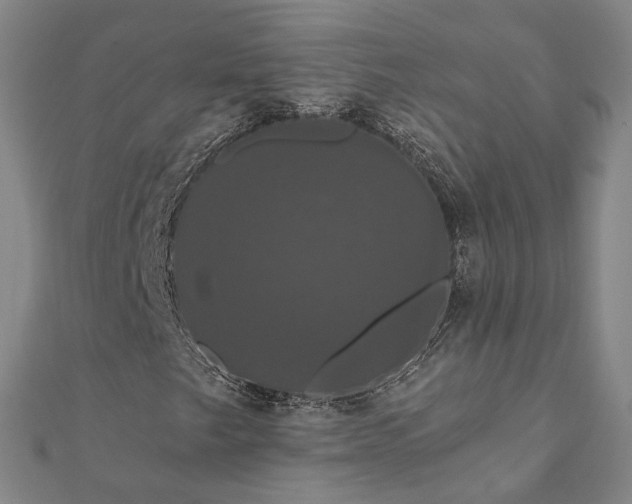 X0000111911249200908031131