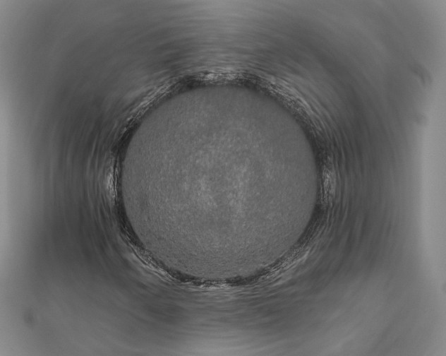 X0000111911250200908031131