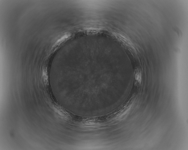 X0000111911252200908031131