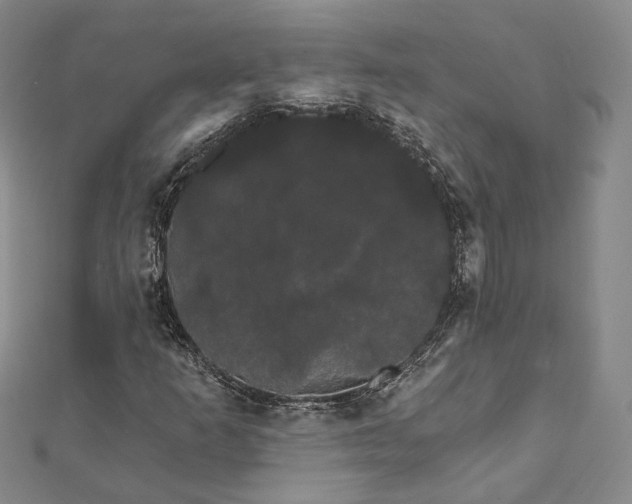 X0000111911253200908031131