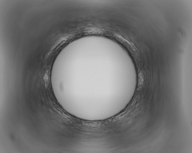 X0000111911254200908031131