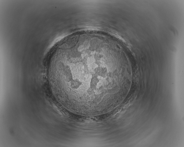 X0000111911255200908031131