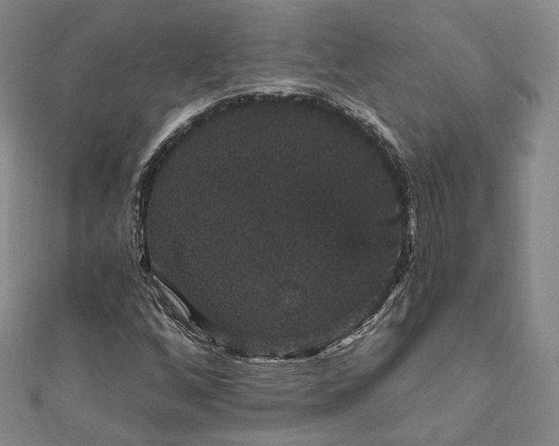 X0000111911256200908031130