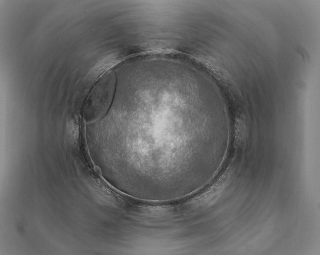 X0000111911257200908031130