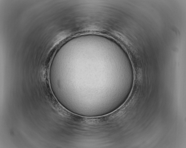 X0000111911258200908031130