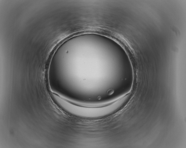 X0000111911260200908031130