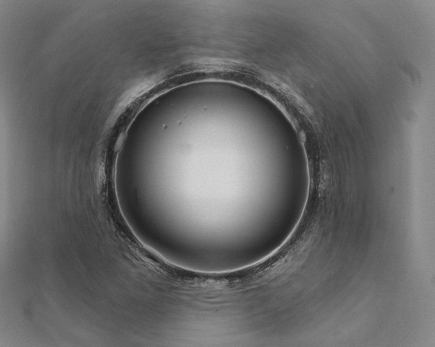 X0000111911261200908031130