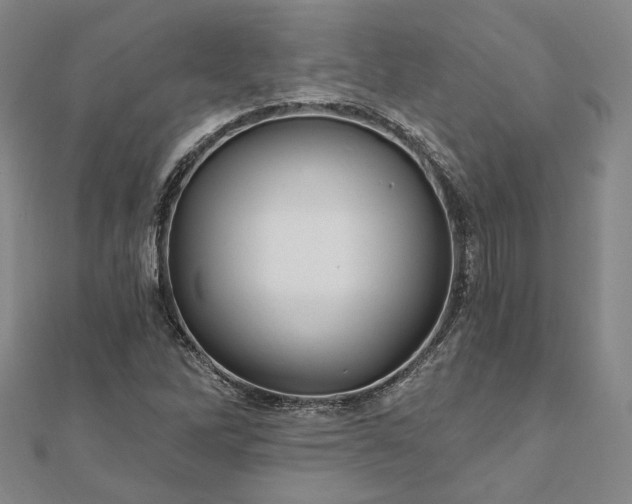 X0000111911262200908031130