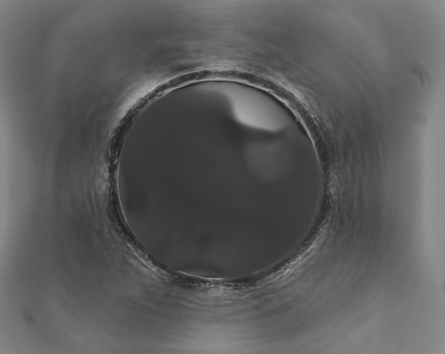 X0000111911263200908031130