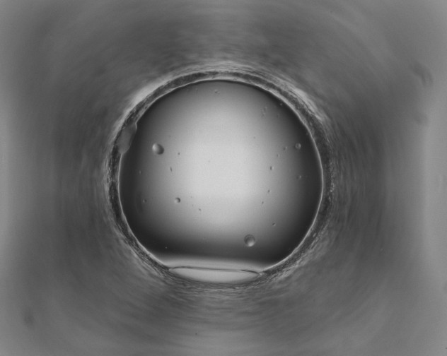 X0000111911264200908031130