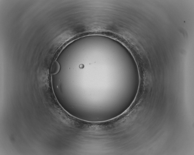 X0000111911265200908031130