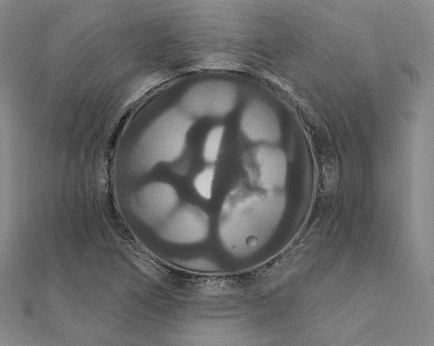 X0000111911266200908031130