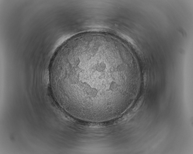 X0000111911267200908031130